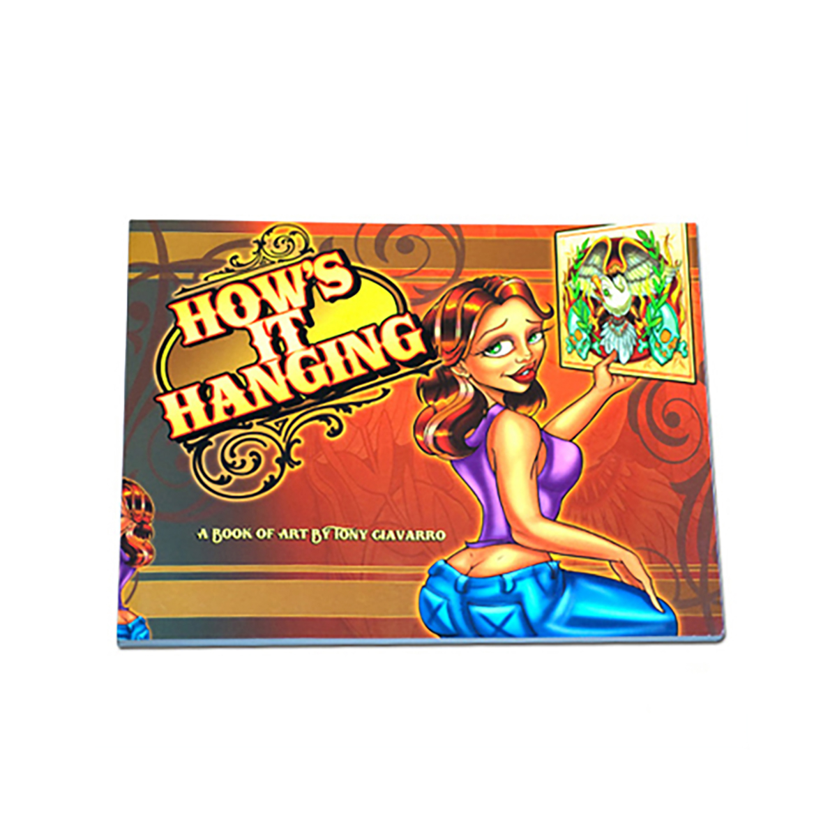 Tony Ciavarro How its hanging Book