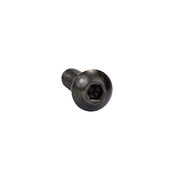 Lens Head Screw M4, 1 unit 12mm